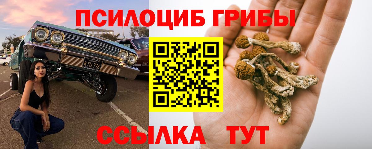 Галлюциногенные грибы Cubensis Мыски